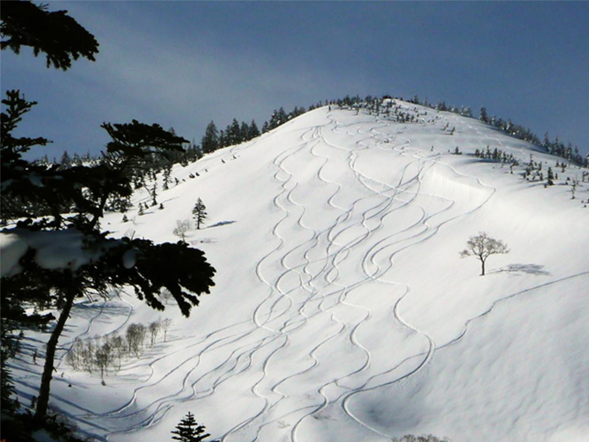 Kagura White Horse Inn Юдзава Екстер'єр фото